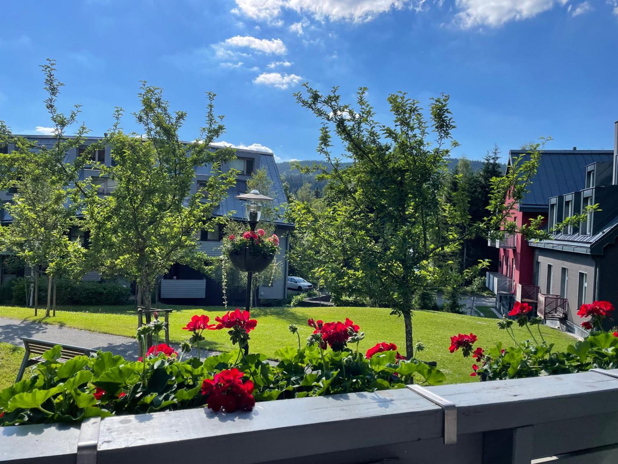 Spirit Harrachov Superior Wellness Apartments - Free Wellness, Wifi, Parking, Harrachov Card Exteriér fotografie