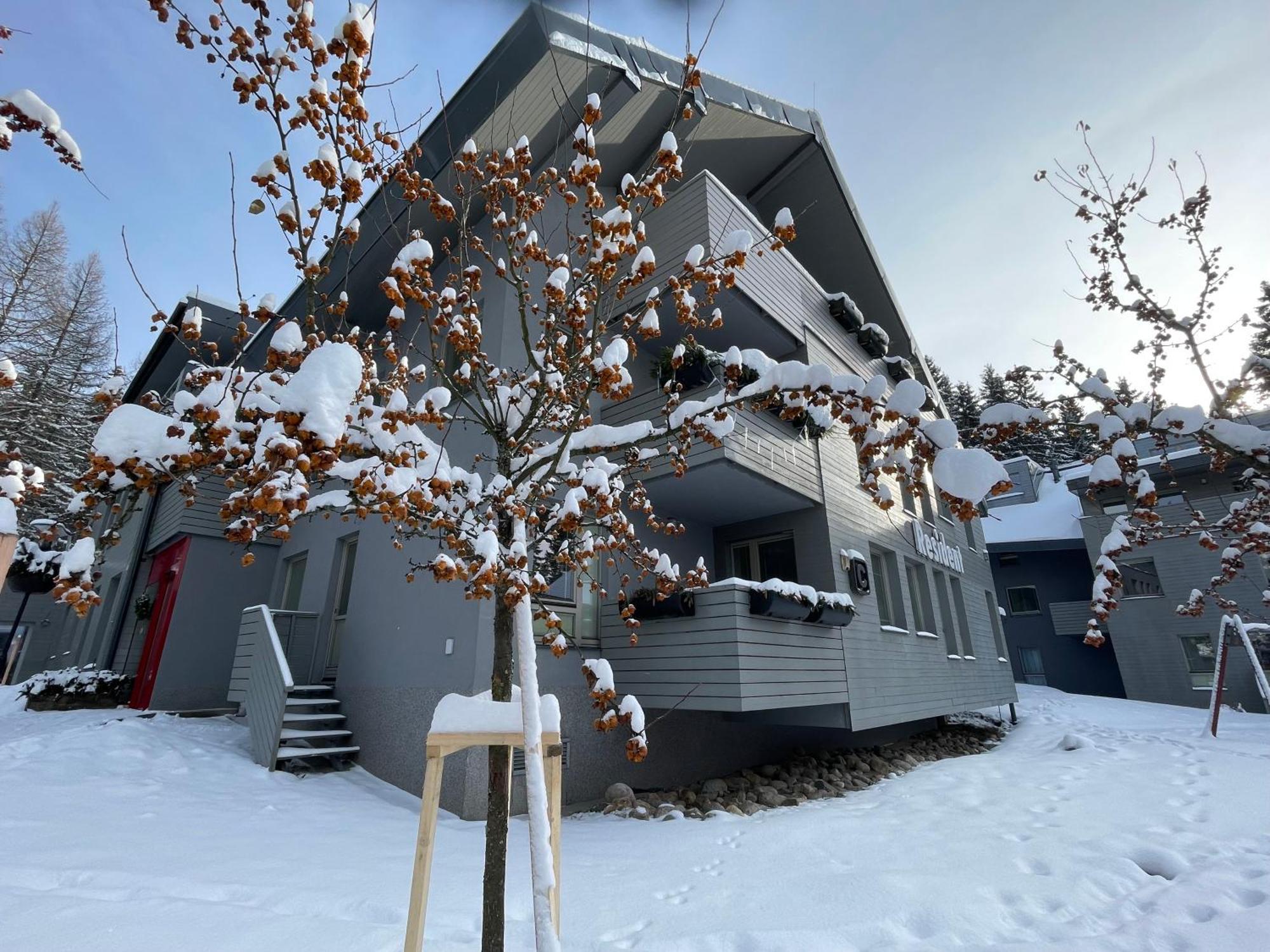 Spirit Harrachov Superior Wellness Apartments - Free Wellness, Wifi, Parking, Harrachov Card Exteriér fotografie