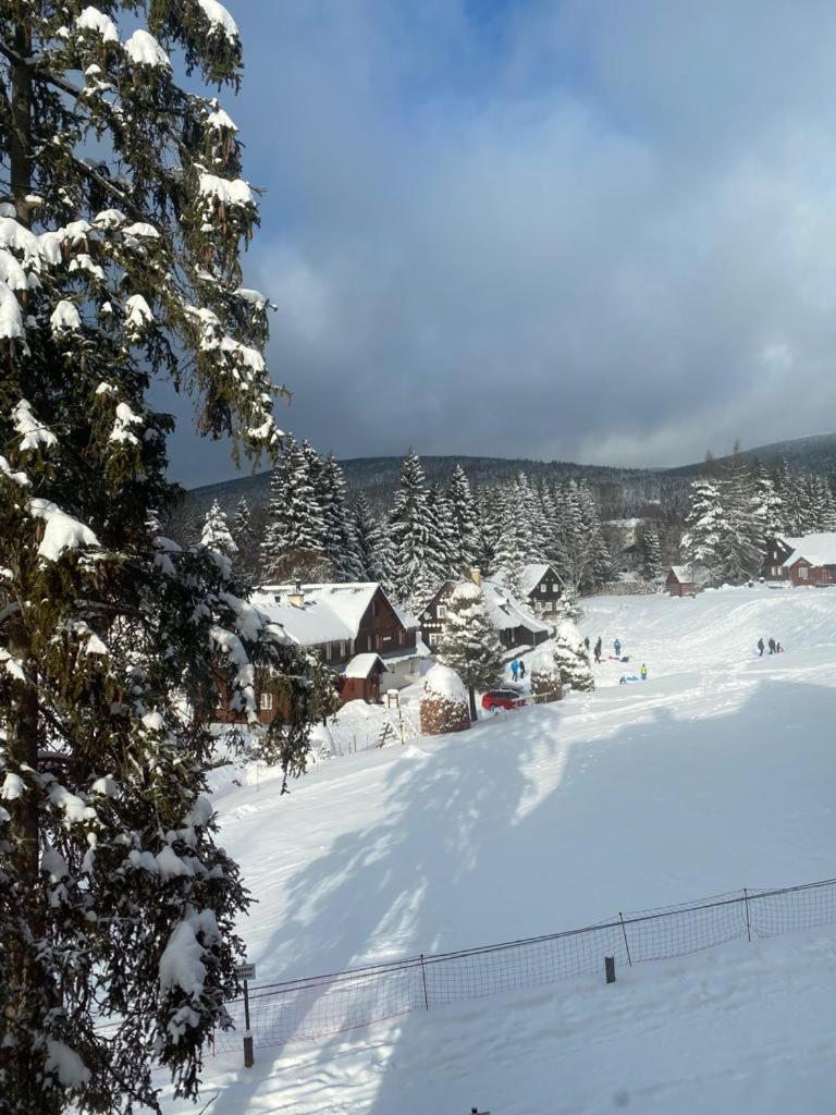 Spirit Harrachov Superior Wellness Apartments - Free Wellness, Wifi, Parking, Harrachov Card Exteriér fotografie
