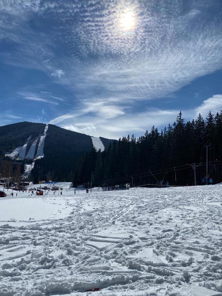 Spirit Harrachov Superior Wellness Apartments - Free Wellness, Wifi, Parking, Harrachov Card Exteriér fotografie